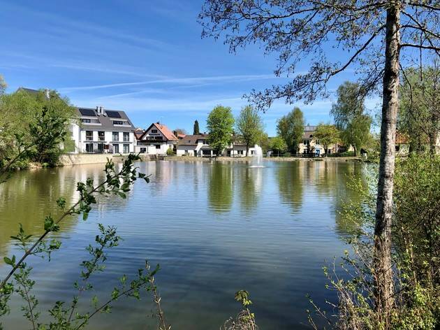 Blick über den Dorfweiher bei strahlendem Wetter